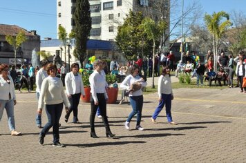 Foto - Caminhada Cívica em homenagem à Patria e aos 55 anos de Anta Gorda