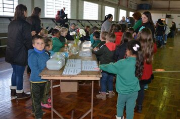 Foto - V Feira de Ciências - 23/08/18