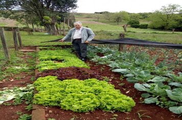 Hortas escolares ganham destaque nas comunidades