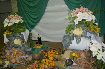 Foto - Formatura SENAR Linha Quarta 2017