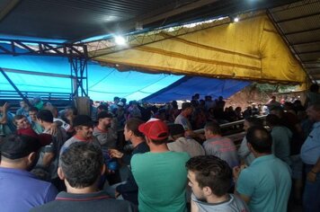 Foto - Campeonato Municipal de Bochas