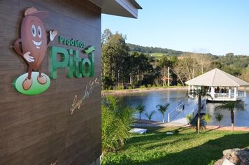 Agroindústria de noz pecan é uma das pioneiras no país!