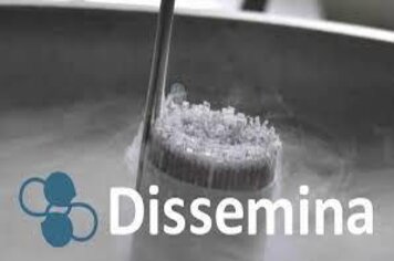Programa Dissemina atenderá Anta Gorda