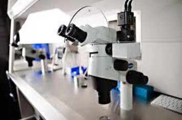 Primeiro laboratório de FIV do sul do país será instalado em Anta Gorda